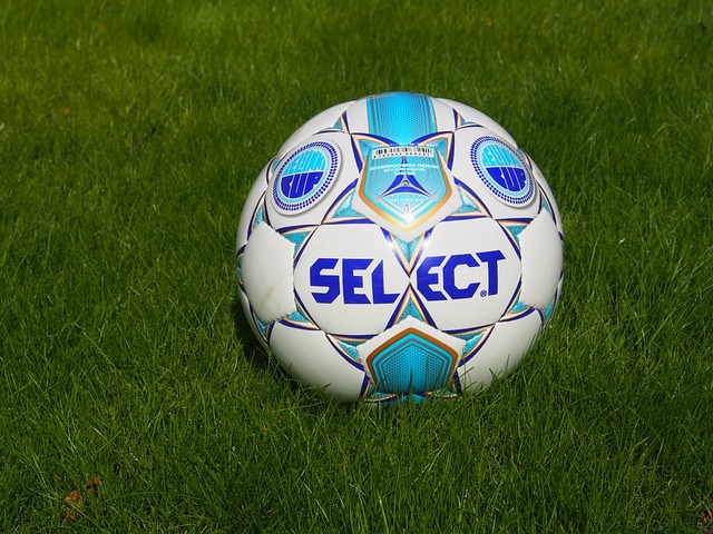 抵制了来自 抵制了来自