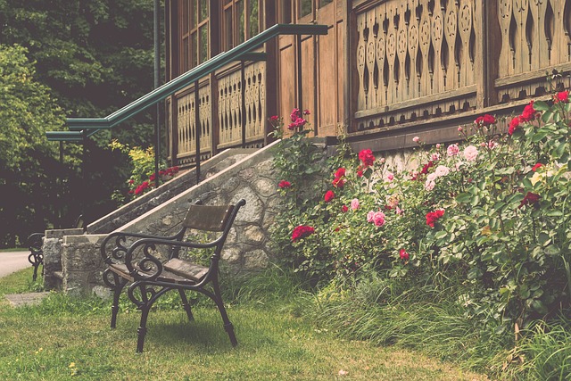 增强区域发 增强区域发